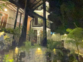 Villa Shungite